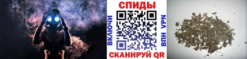 shop состав  Берёзовка  Бутират BDO  мега tor 