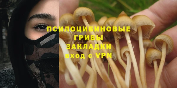 метадон Алексеевка